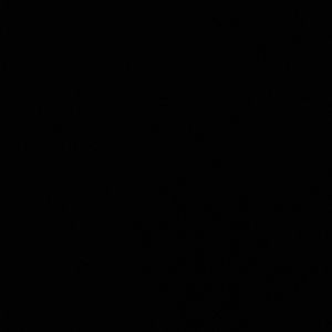 Meet your Posher, Lailani